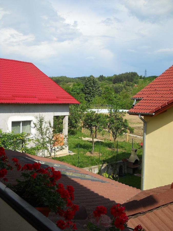 Casa Domneasca Hotel Curtea de Argeş Værelse billede